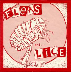 Fleas And Lice : Parasites